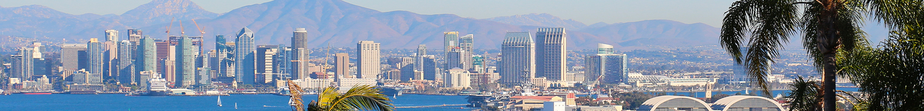 San Diego Skyline